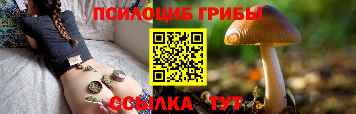 Псилоцибиновые грибы Psilocybe  Галлюциногенные грибы Psilocybine cubensis  Лабытнанги  Вход с VPN 